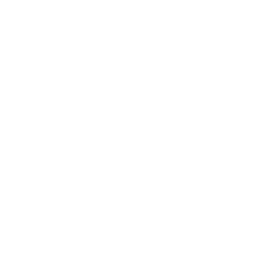 Arrow white